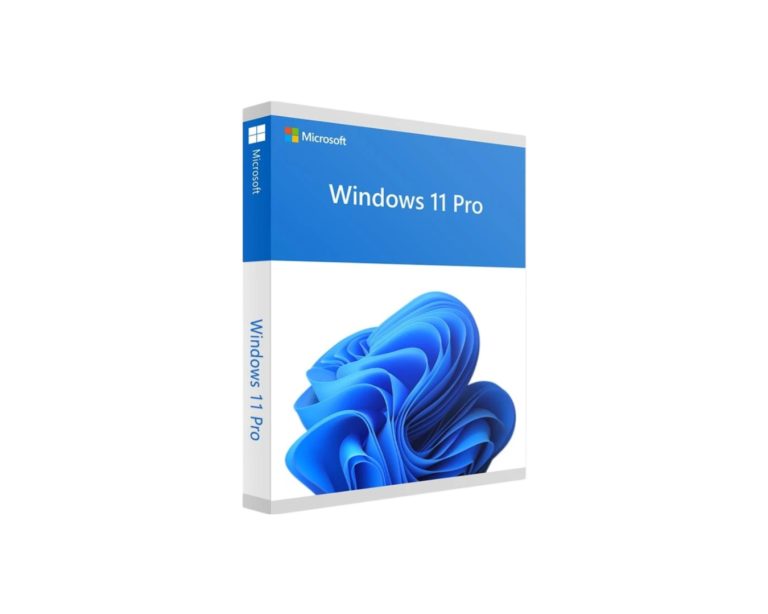 microsoft windows 11 professional 64 bit price